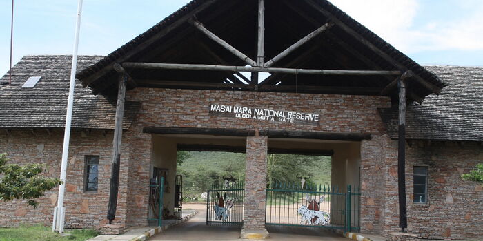 Maasai Mara Joins World Book of Records for Hosting World’s Greatest Wildlife Migration