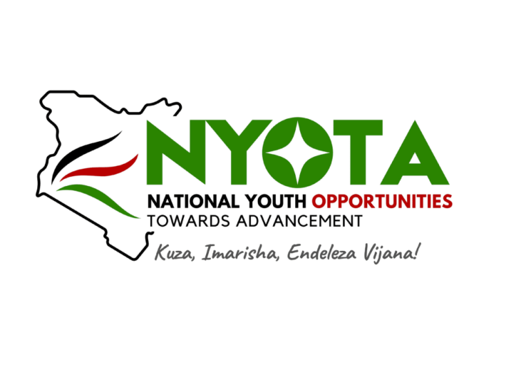 How to Apply for Nyota Funds for Those Who Didn’t Apply