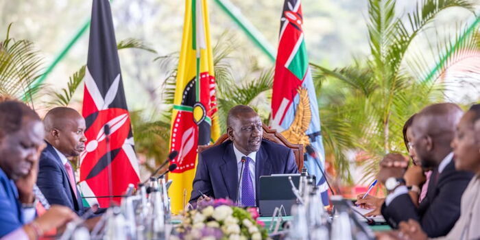 Ruto, CSs Make Fresh Appointments to Govt