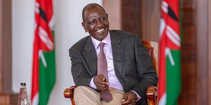 Advocate Targets President Ruto in Fresh Petition
