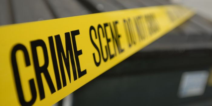 33 Bodies Discovered in Kericho Mass Grave as Investigations Intensify