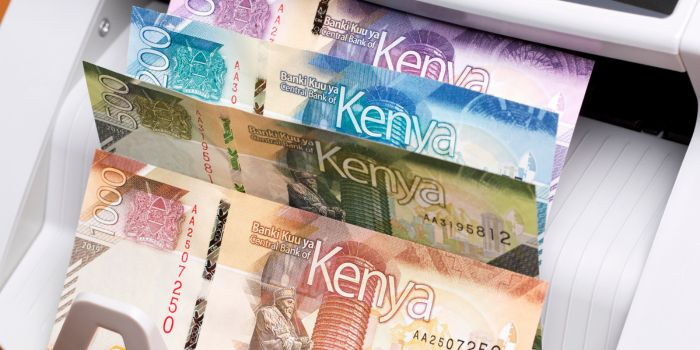 Kenyan Shilling Surges 4.1% Against Dollar in 2025, Lost to Euro – Report 